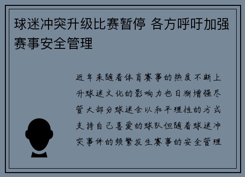 球迷冲突升级比赛暂停 各方呼吁加强赛事安全管理