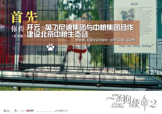  开云体育