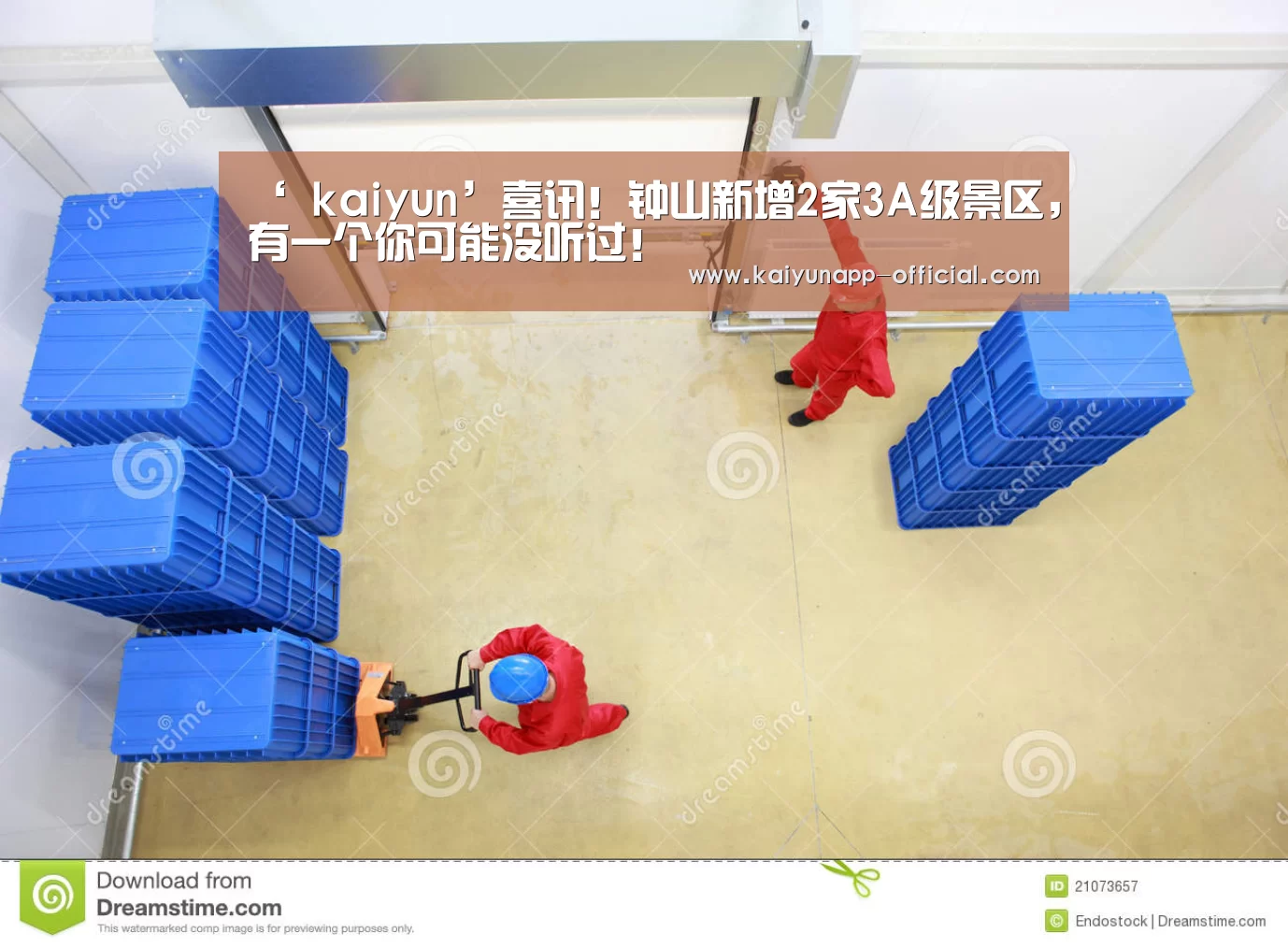  开云体育